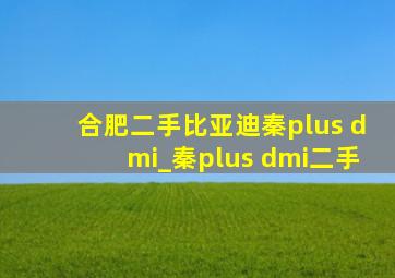 合肥二手比亚迪秦plus dmi_秦plus dmi二手